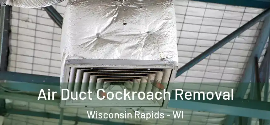  Air Duct Cockroach Removal Wisconsin Rapids - WI