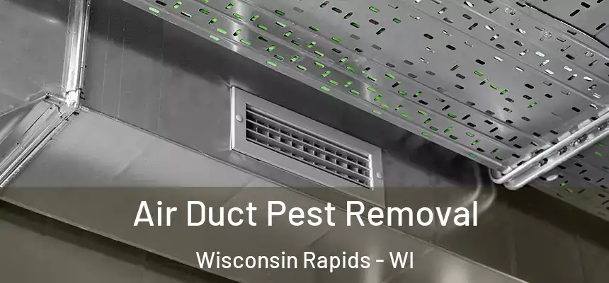  Air Duct Pest Removal Wisconsin Rapids - WI