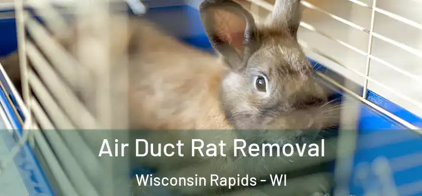  Air Duct Rat Removal Wisconsin Rapids - WI