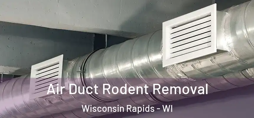  Air Duct Rodent Removal Wisconsin Rapids - WI