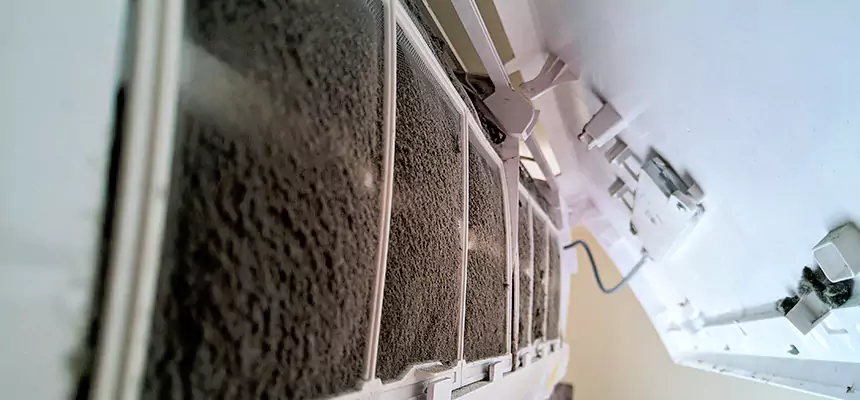 Preventive Air Duct Bacteria Removal in Wisconsin Rapids