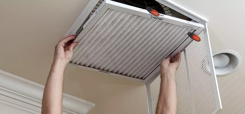 Preventive Cockroach-Proofing for Ducts in Wisconsin Rapids