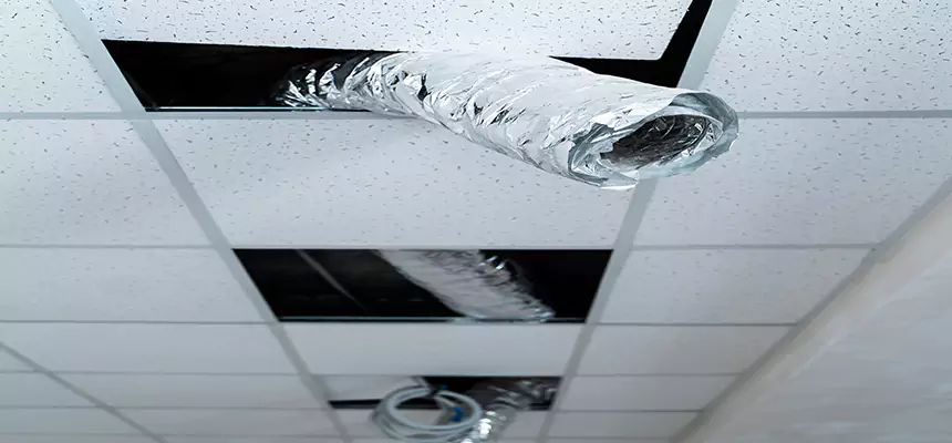 Affordable HVAC Sanitizing After Pest Removal in Wisconsin Rapids