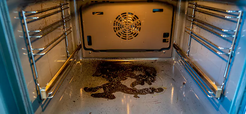 Our Dryer Vent Mold Cleaning Services in Wisconsin Rapids, WI