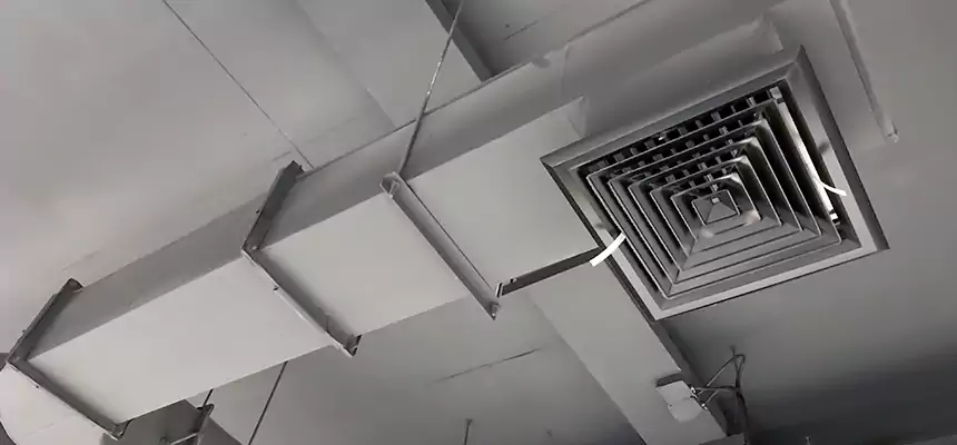 Our Pest Removal From Ducts Services in Wisconsin Rapids, WI