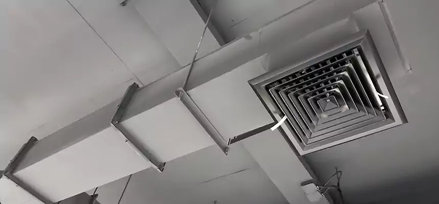 Our Rodent Droppings In Vents Services in Wisconsin Rapids, WI