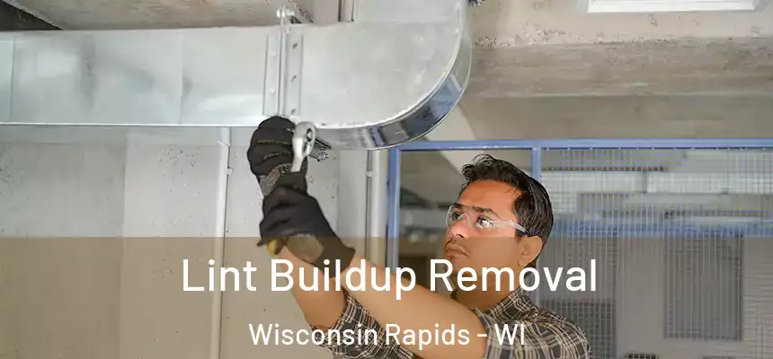 Lint Buildup Removal Wisconsin Rapids - WI