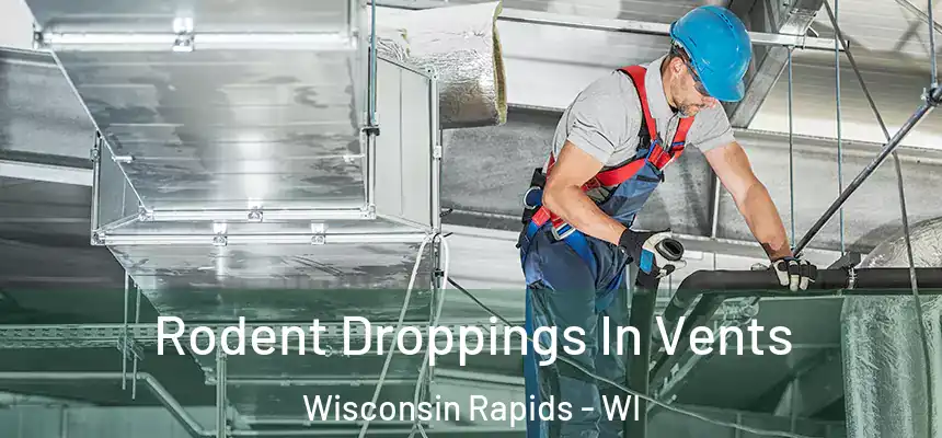  Rodent Droppings In Vents Wisconsin Rapids - WI