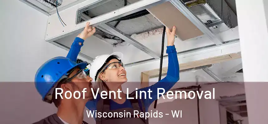  Roof Vent Lint Removal Wisconsin Rapids - WI