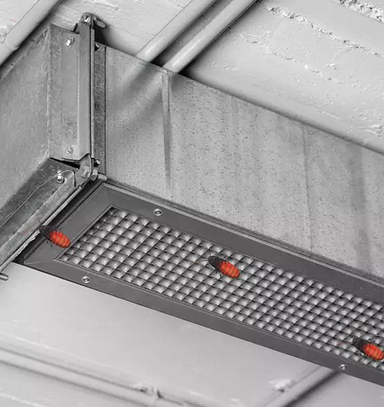 About Air Duct Cockroach Removal in Wisconsin Rapids, WI
