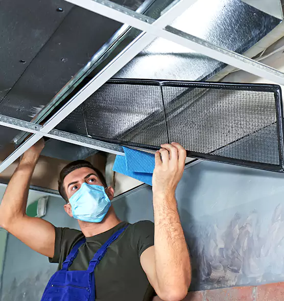 Professional Air Duct Pollen Cleaning in Wisconsin Rapids, WI