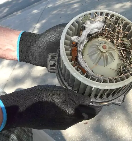 About Air Duct Rat Removal in Wisconsin Rapids, WI