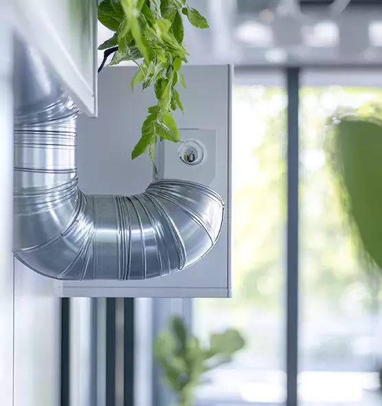 Professional Eco-Safe Dryer Vent Cleaning in Wisconsin Rapids, WI