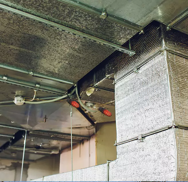 Why Homeowners & Businesses Trust Us in Wisconsin Rapids, WI?